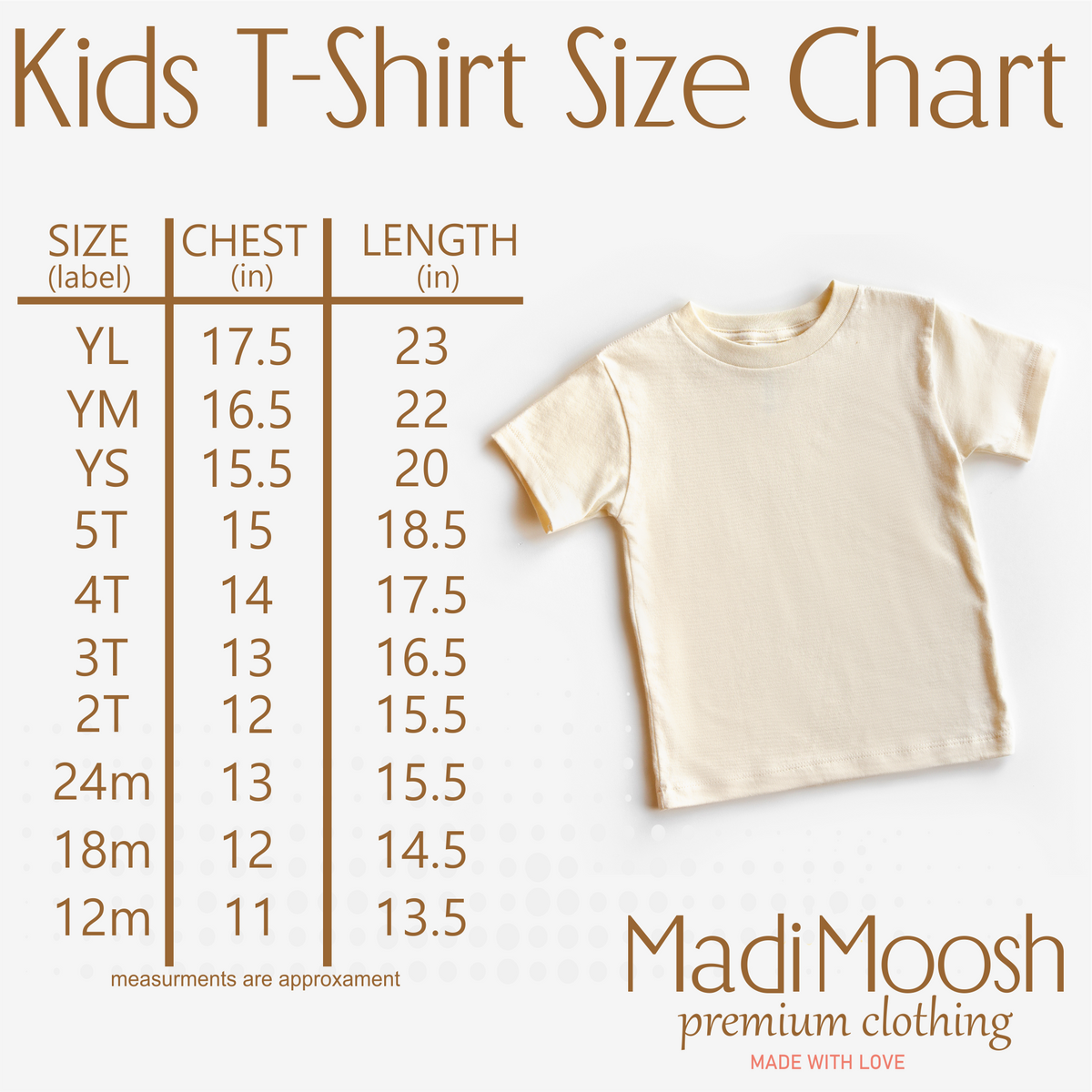 Dinosaur Birthday Boy Shirt - T-Rex Birthday