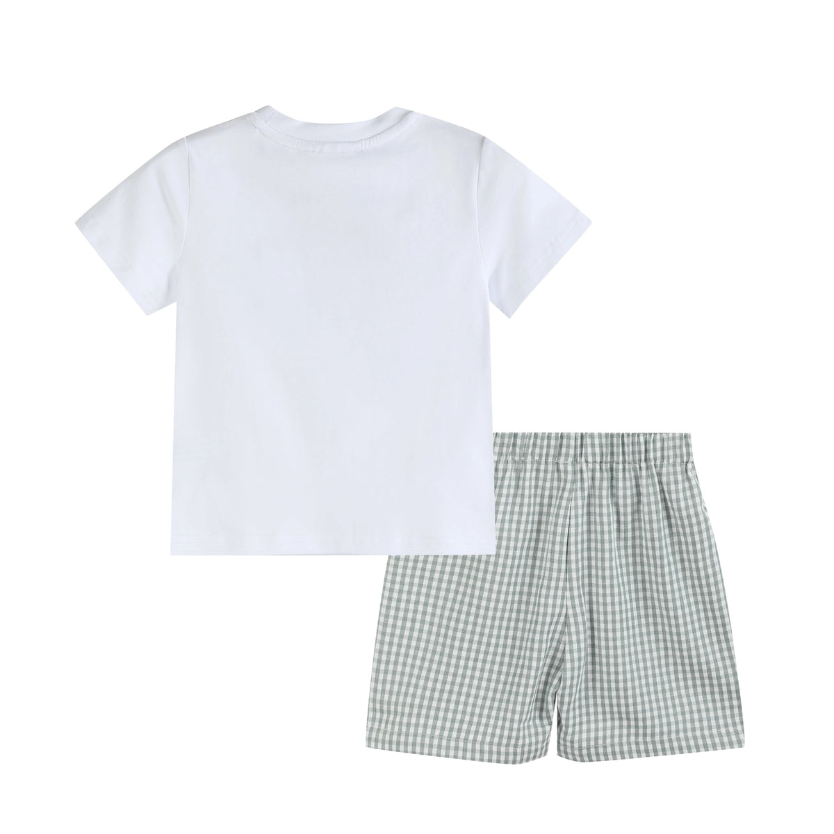 Dinosaur Smocked Tee and Green Gingham Shorts Set