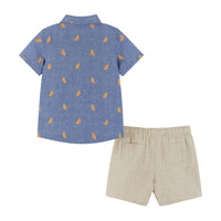 Boys Toddler Seersucker Button down & Shorts Set